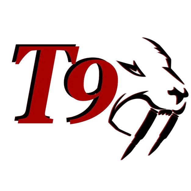 BinTac T9 Logo in red